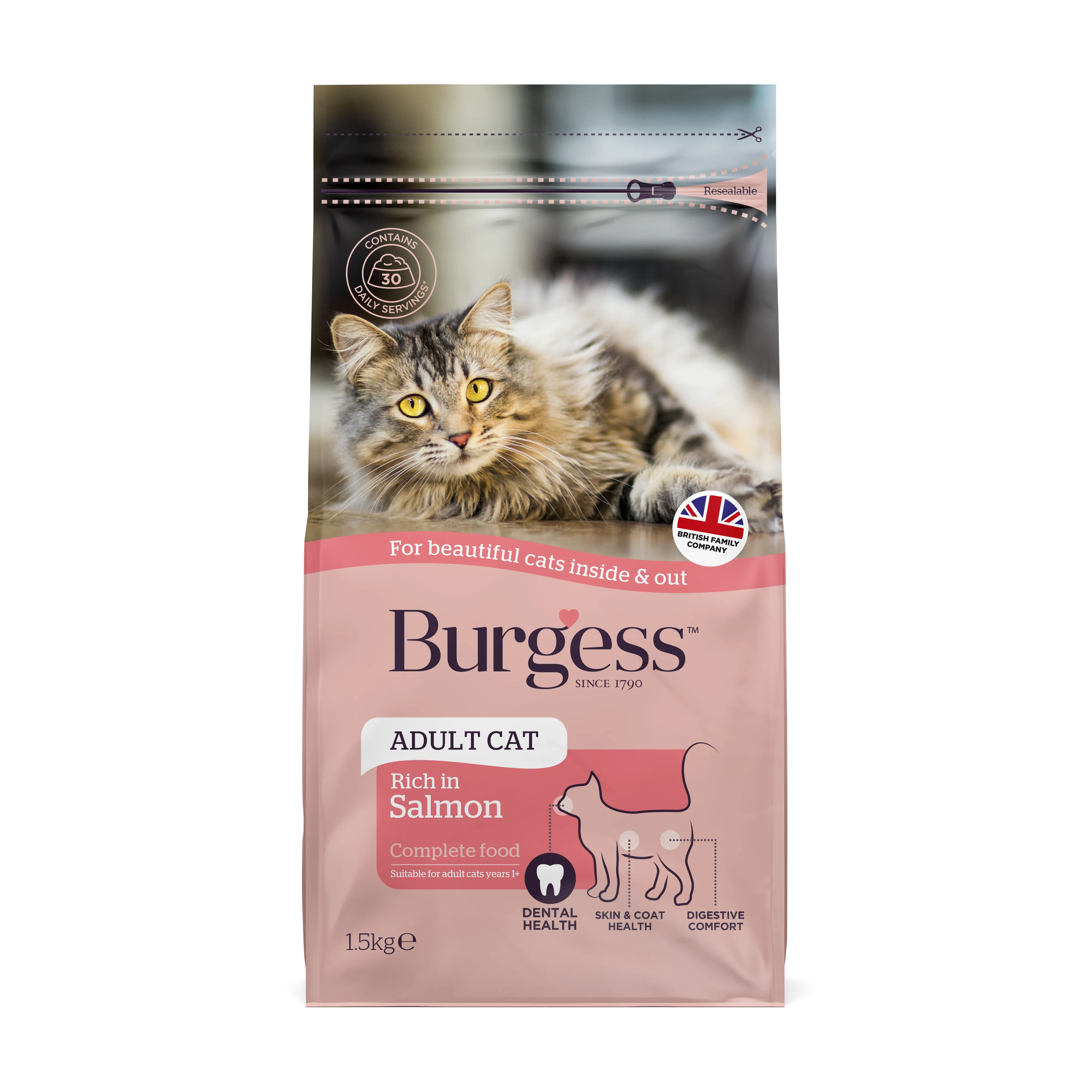 Burgess Adult Cat Scottish Salmon