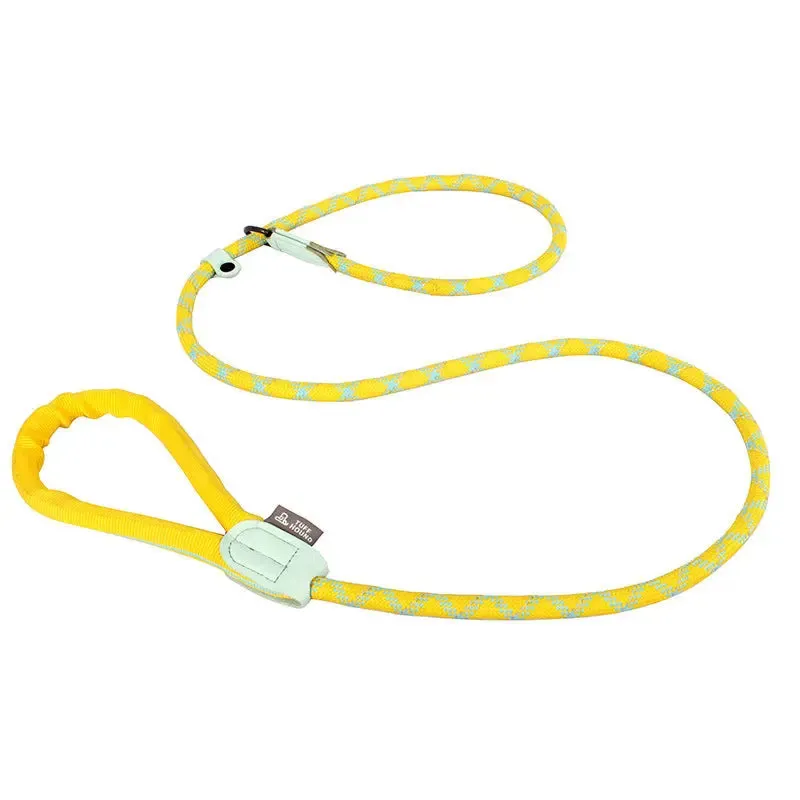 Dog Slip Lead