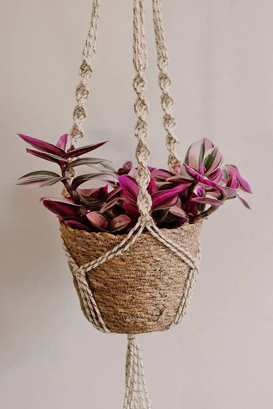 Macrame Plant Suspension